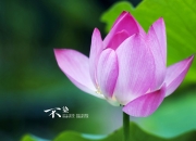 开云体育APP下载-热血与荣光的碰撞，2026世界杯A组强强对话，厄瓜多尔绝杀智利，C罗闪耀全场书写不老传奇