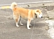 开云平台-冰火两重天，久保建英导演替补奇兵绝杀，哥斯达黎加横扫冰岛书写2026世界杯D组唯一性传奇