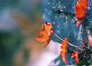 开云体育入口-双线交错，凯尔特人稳健胜山西，哈登总决赛天神下凡