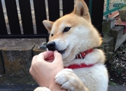 开云下载-托尼战术铸就胜利，伊拉克连击终结悬念