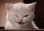 开云-当步行者撞破时间裂缝，那个在深圳体育馆燃烧的布克