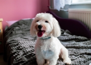 开云平台-北极光闪耀北美，厄德高在美加墨世界杯之夜写下北欧史诗