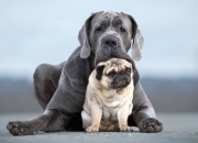 开云平台-熔断之战！2026世界杯惊现AI裁判，山西队铁血冲垮76人王朝