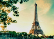 开云sport-引爆数据核弹，米切尔47分创纪录之夜，活塞逆转开拓者