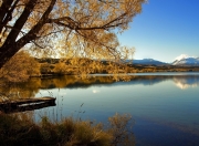 开云-战术风暴，奥地利式高压如何撕裂利物浦，京多安如何化身关键先生