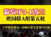 开云sport-波兰国家队在欧预赛中豪取胜利的简单介绍
