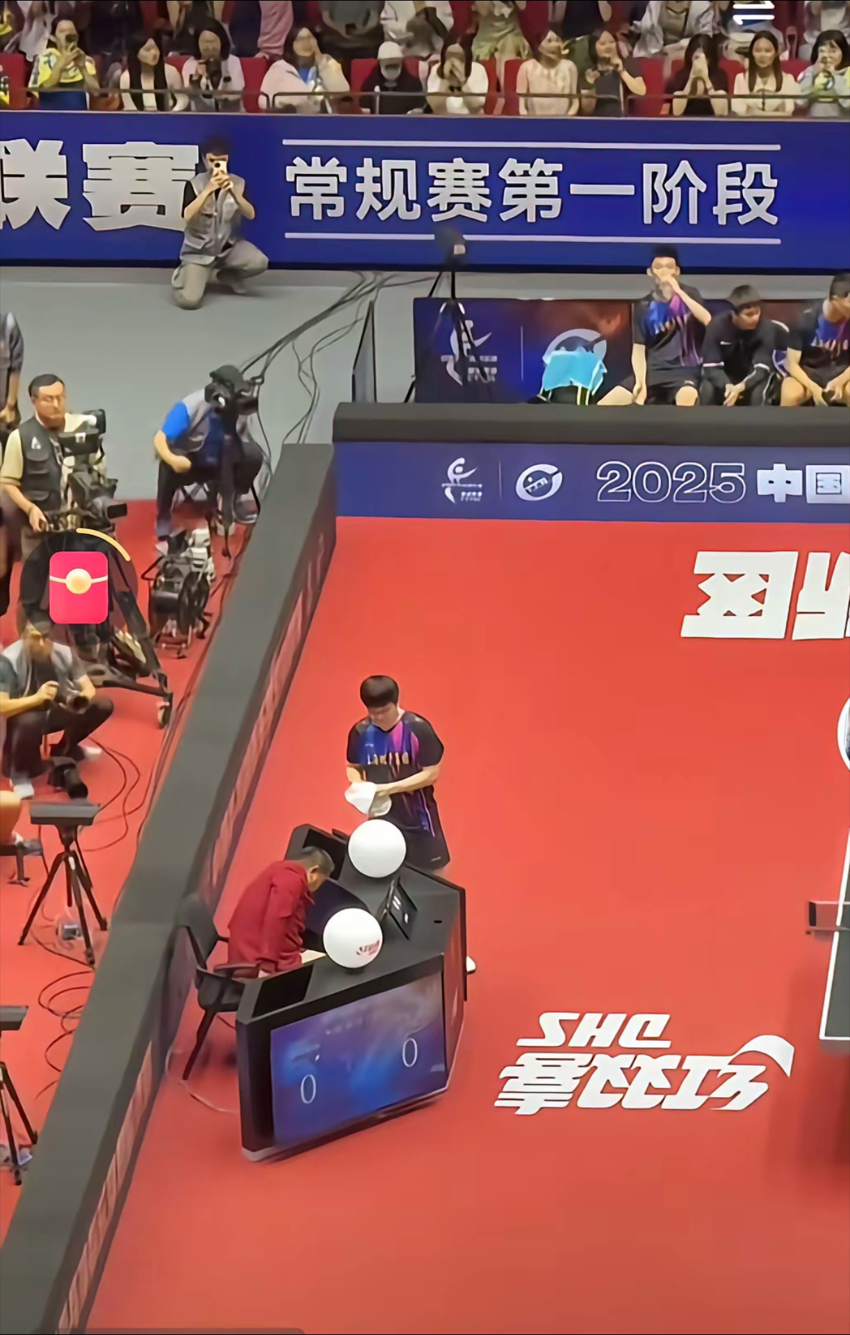 波兰队横扫日本队，樊振东统治全场