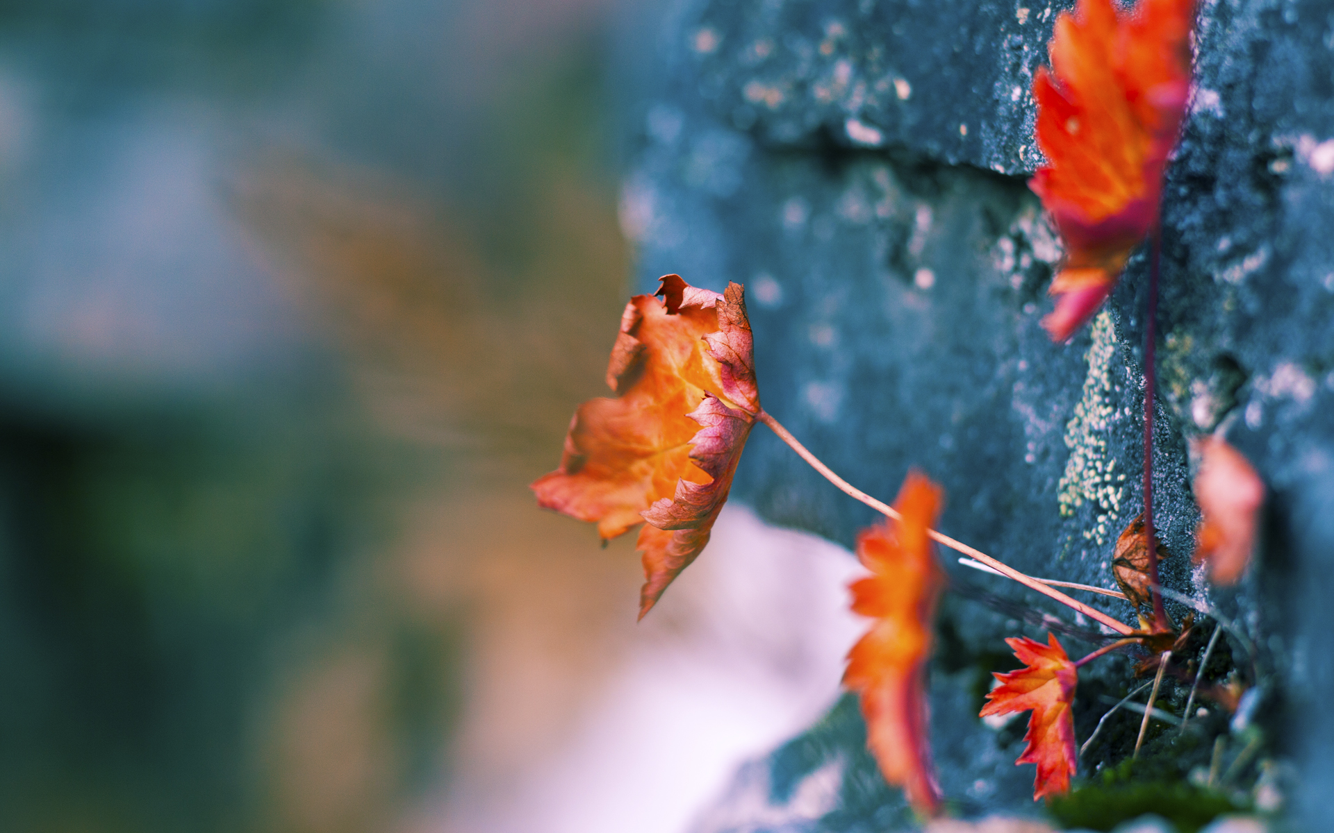 双线交错,凯尔特人稳健胜山西,哈登总决赛天神下凡