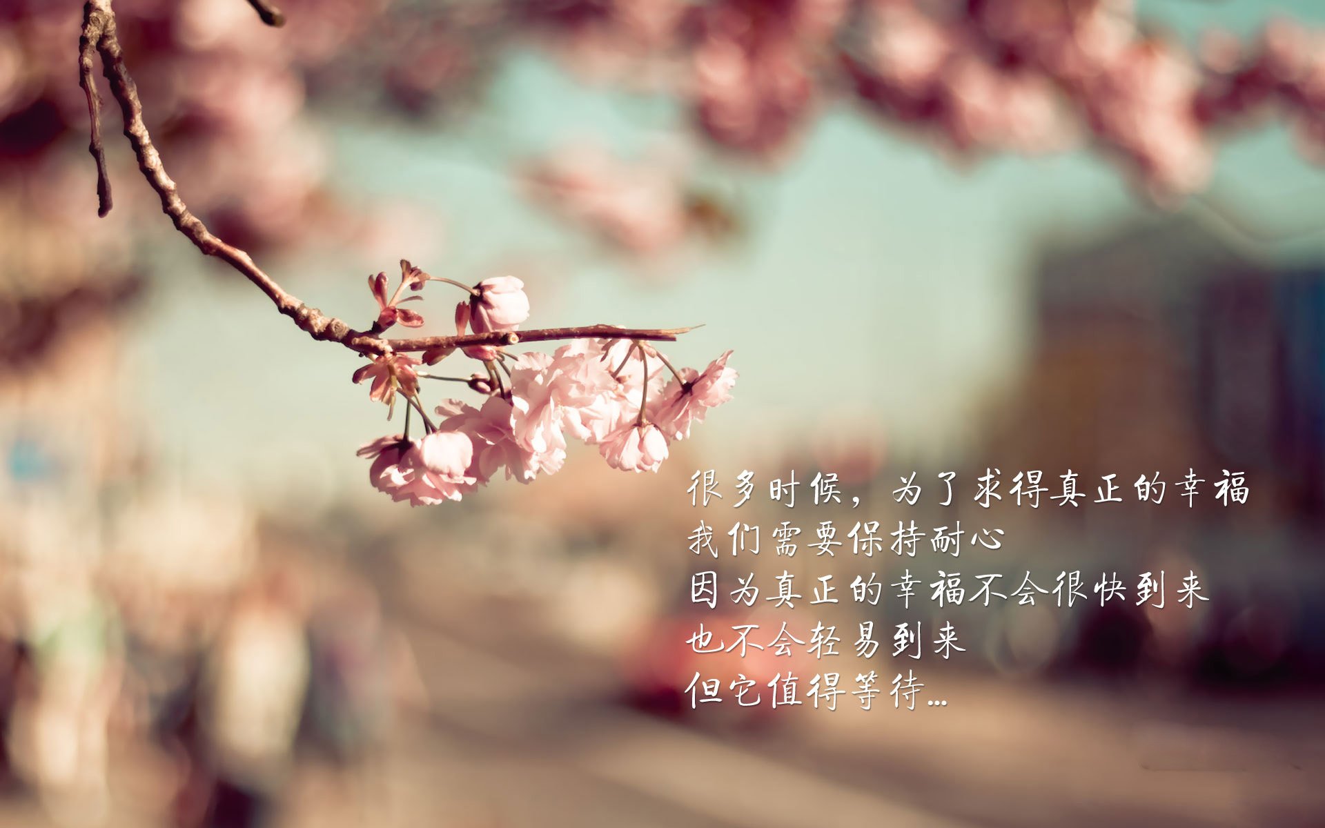 意甲焦点战之夜,布伦森一锤定音定乾坤