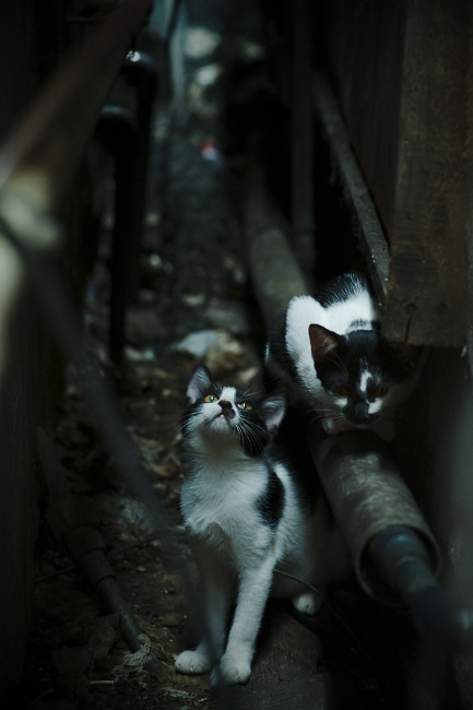 技术击倒!贝蒂斯3-1荡气回肠完胜黄潜,西甲焦点战诠释战术之美