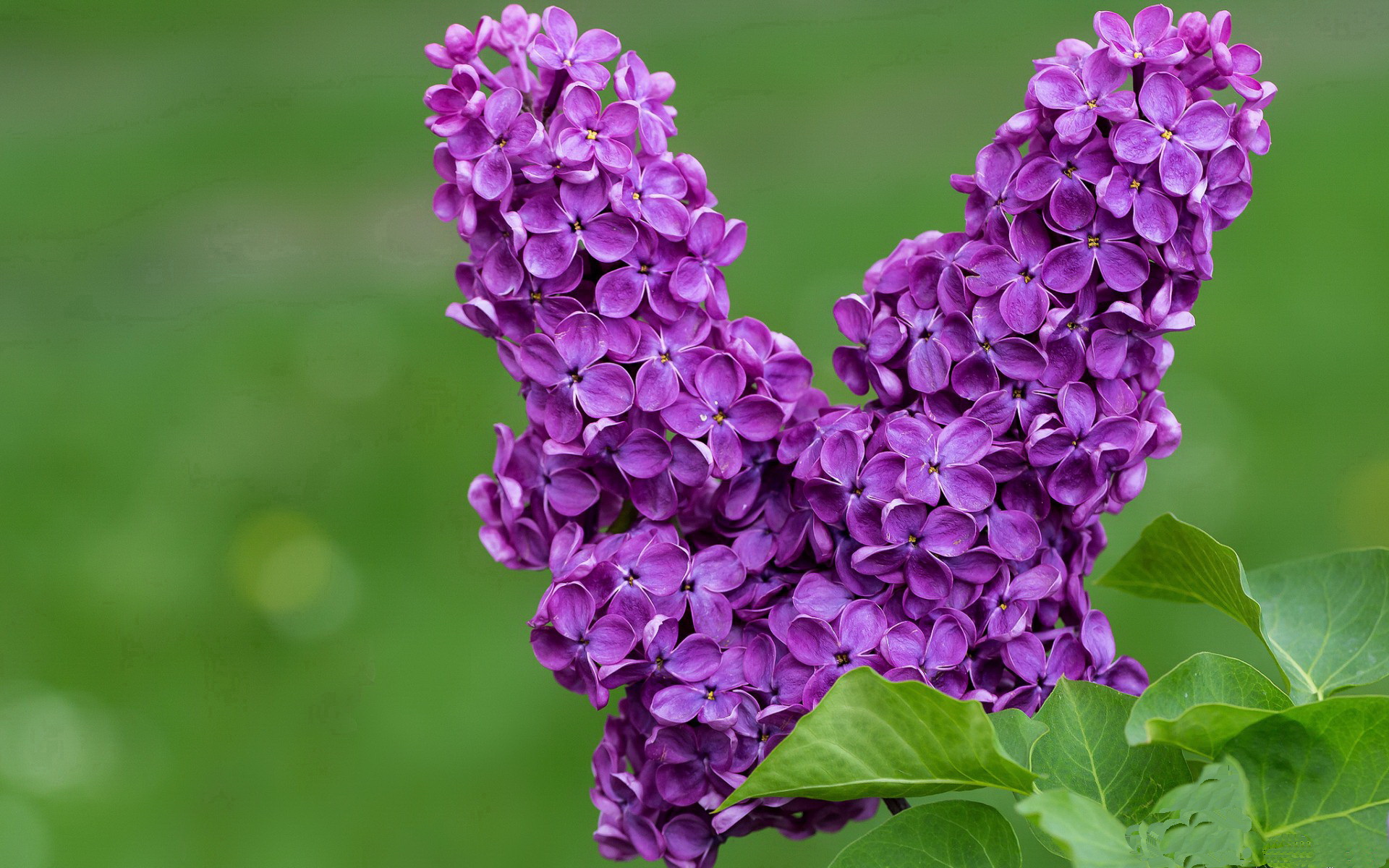 时光褶皱里的北欧童话,瑞士军刀在美加墨末节切开丹麦防线