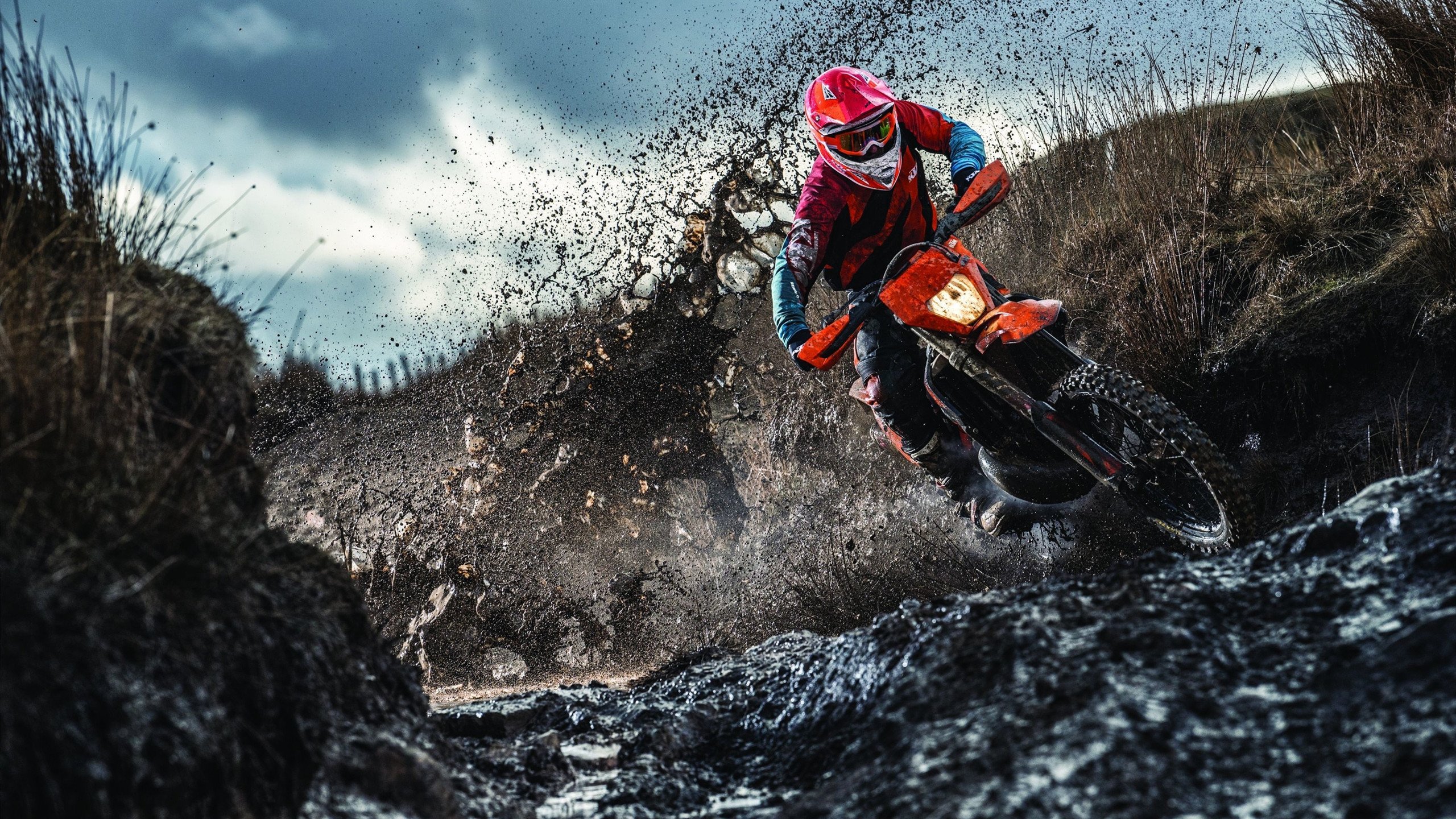 绿茵与硬木的交响,当欧冠绝平之夜遭遇雷霆万钧的逆转哲学