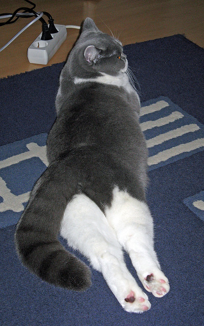 末节战神！伊萨克导演史诗逆转，巴萨悬崖边上被他一人接管