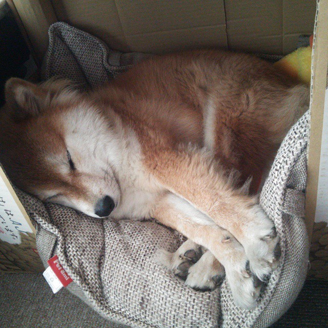 末节战神！伊萨克导演史诗逆转，巴萨悬崖边上被他一人接管