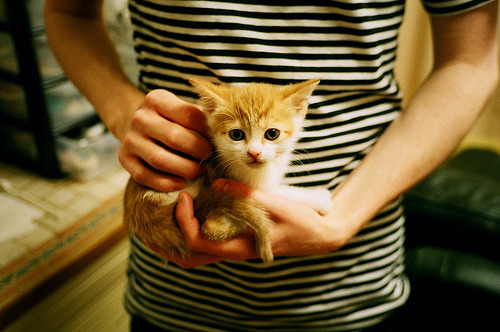 冰与火的碰撞!乔治末节17分导演逆转,公牛主场力克鹈鹕守住前六