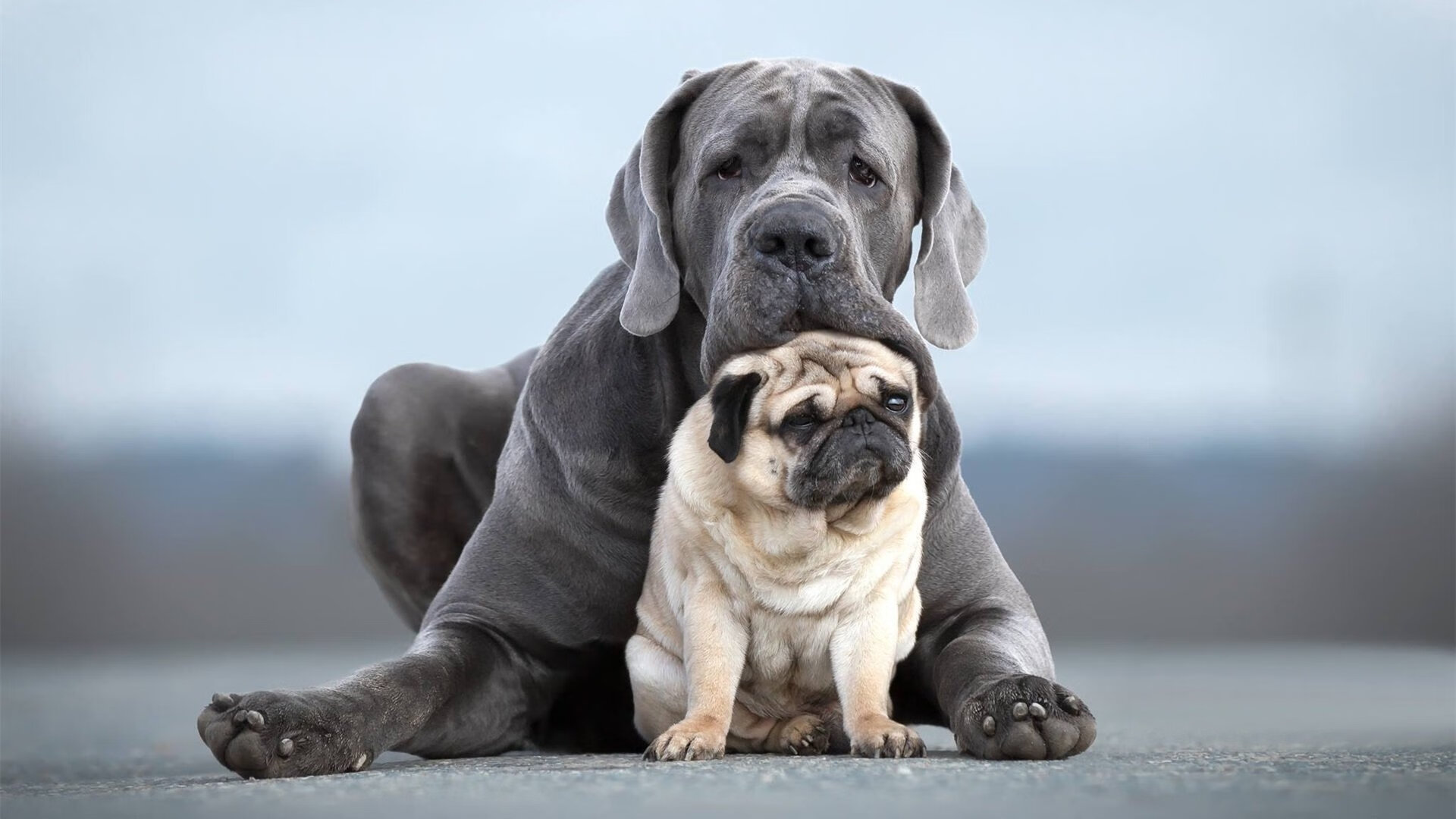 熔断之战!2026世界杯惊现AI裁判,山西队铁血冲垮76人王朝