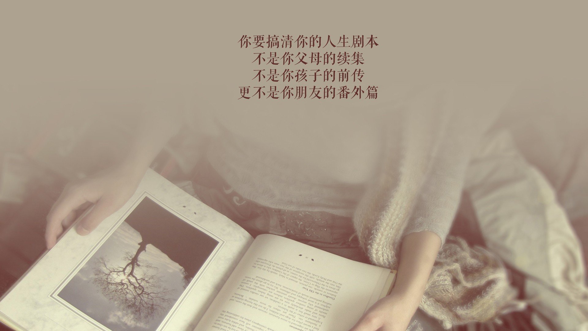 中亚铁骑撕裂斗牛士军团,2026世界杯G组冷夜,卢卡库主宰强强对话